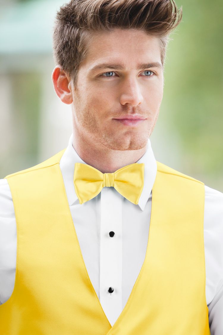 Guy wearing the Expressions Buttercup Bow Tie and matching vest