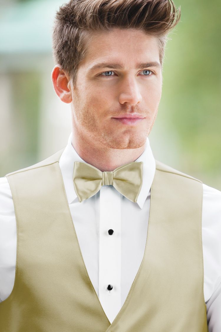 Guy wearing the Expressions Champagne Bow Tie and matching vest