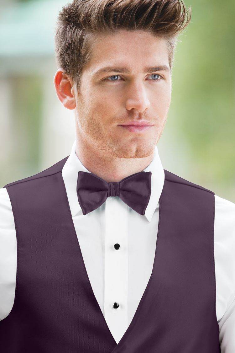 Man wearing the Expressions Plum Bow Tie with a matching vest