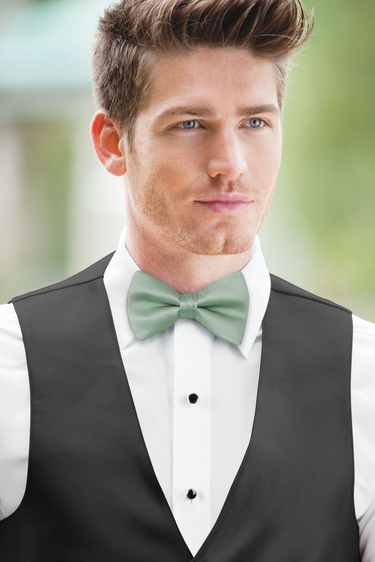 Agave Solid Bow Tie with a black vest