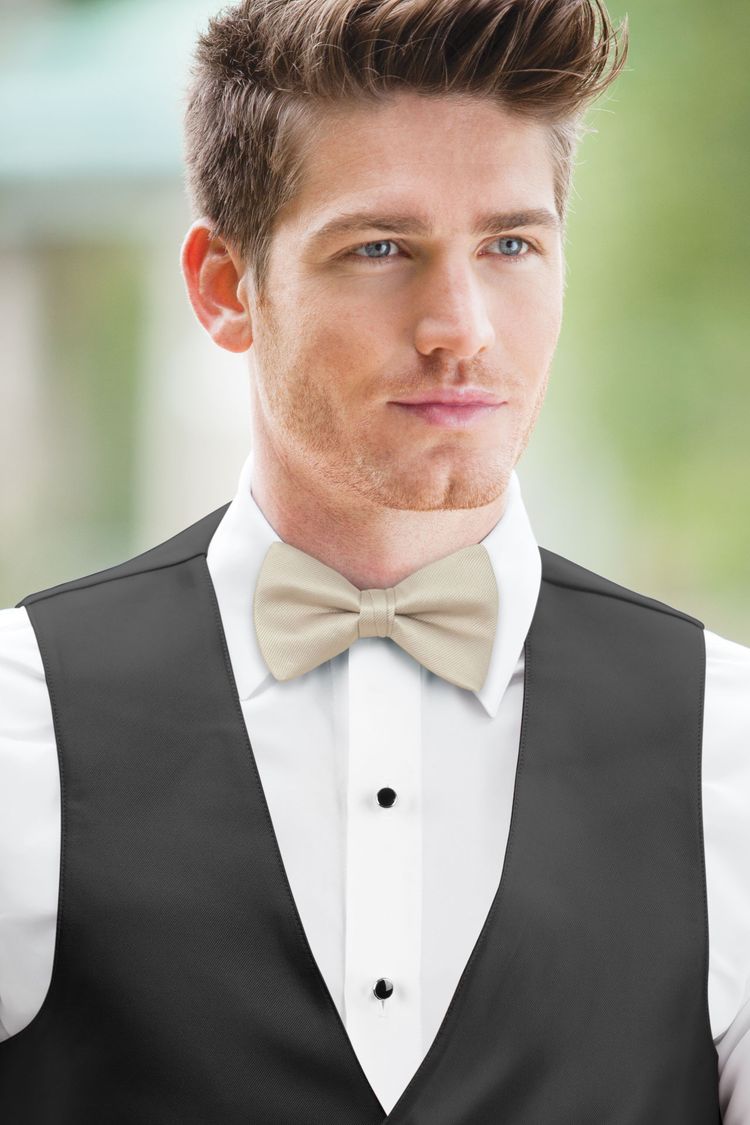 Frost Solid Bow Tie with a black vest