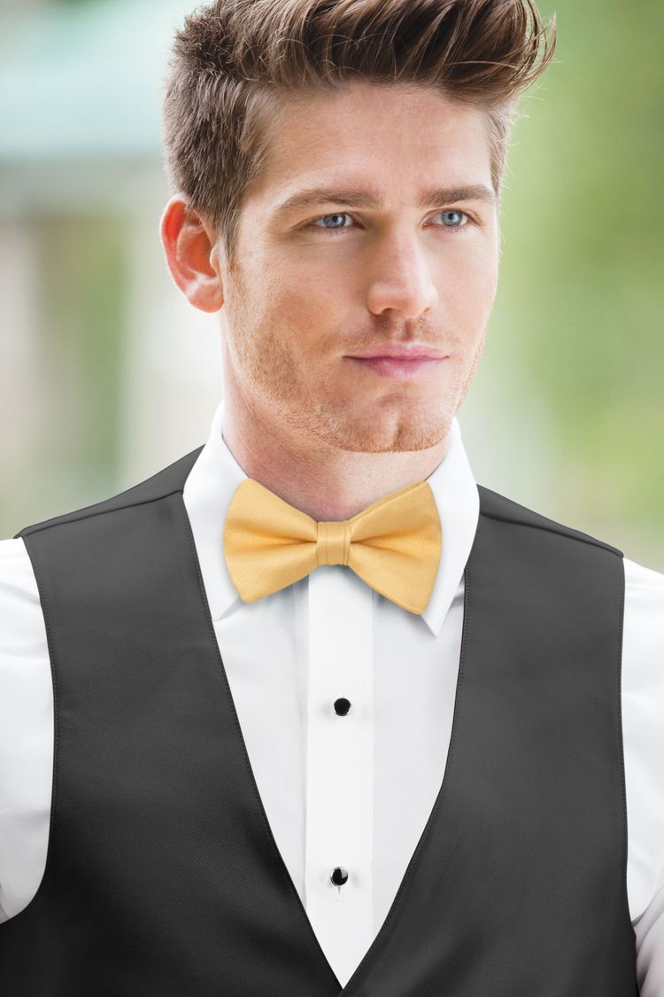 Gold Solid Bow Tie with a black vest